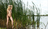 MPL Studios 129596 Sarah Tall Grasses
