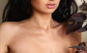 MPL Studios 129641 Renata Ebony Electrified
