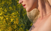 MPL Studios 129724 Katka Field Of Flowers
