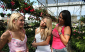Her First Lesbian Sex Kylee Reese Mariah & Sammie 131179 It'S Mariah'S Last Day In Town And Sammie Wants To Make It A Day To Remember. They Don'T Waste Anytime Picking Up A Blooming Blonde At The Local Garden Center. Cum Watch Them Work Up A Sweat Planting Their Lips On Her Rosebuds And Climbing Way Up Into Her