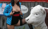 Public Flash 137370 Toned Babe Toying Her Pussy
