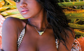 Private.com Jenna Brooks 138951 Exotic Black Girl Has An Affair Sexy Black Girl Gets Fucked Hard On The Beach
