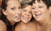 Mature.nl 141373 Three Horny Mature Sluts Take On One Strapping Lad
