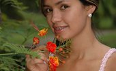 Pamela Spice 149120 Pamela Shows Off Her Tight Body In Her Small Dress
