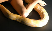 Andrew Blake 151332 Valentinas Snake
