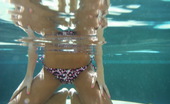 Craving Carmen Sexy And Wet Tanned Carmen Teases In The Pool With Her Perfect Pussy
