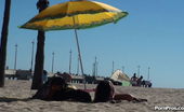 Public Violations
 169404 Sunny Beach Day Violation