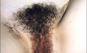 Hairy Babes A Real Black Thick Bush Teen
