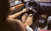 Rodox Gallery Th 16106 T 178721 Wet Hairy Seventies Lady Taking Real Naughty Driving Lessons

