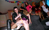 Drunk Sex Orgy Nessa Devil 195938 Drunk Horny Lesbian Girls Kissing Each Others Damp Cunt
