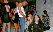 Drunk Sex Orgy Rachel Honey 195994 Horny Clothed Chicks Fucking Random Dudes At A Club Hardcore
