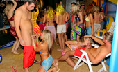 Drunk Sex Orgy Christina Lee 196056 Hot Babes At A Big Beach Party Nailed By Big Hard Dicks
