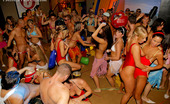 Drunk Sex Orgy Christina Lee 196056 Hot Babes At A Big Beach Party Nailed By Big Hard Dicks
