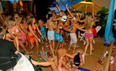 Drunk Sex Orgy Renata Black 196058 Willing Teenage Chicks Penetrated At A Large Beach Party
