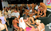 Drunk Sex Orgy Francesca Fellucci 196098 Intoxicated Hot Babes Enjoy Sucking Big Peckers At A Party
