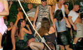 Drunk Sex Orgy Jungle Party 196152 Several Hot Sluts Take Some Cock At A Huge Fucking Orgy

