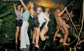 Drunk Sex Orgy Jungle Orgy 196153 Partying Dirty Sluts Take Cock During A Big Group Sex Party
