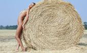 Errotica Archives Summer Afrodita 196838 Afrodita Basking Naked Under The Morning Sun, Her Smooth Body Glowing While Her Face Lights Up Into A Pretty Smile As She Lays On Top Of A Bed Of Hay Flora
