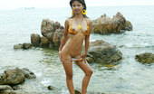 Tussinee Tiger Beach 205839 18 Year Old Thai Teen In Tiger Bikini At The Beach Flashes All Her Naughty Parts
