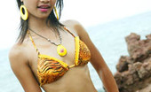 Tussinee Tiger Beach 205839 18 Year Old Thai Teen In Tiger Bikini At The Beach Flashes All Her Naughty Parts
