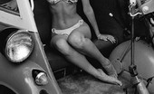 Vintage Cuties
 211062 