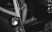 Vintage Cuties
 211062 