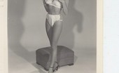 Vintage Cuties
 211323 