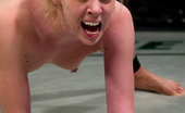 Ultimate Surrender 213497 Grudge Match Ends In A Brutal Fucking, Submissions.
