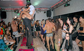 Party Hardcore Hardcore Partying 218248 Lots Of Hot And Crazy Girls Suck And Fuck Male Strippers
