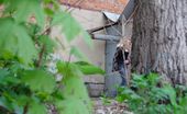 Piss Hunters 222309 Peeped Peeing Blond
