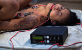 Electro Sluts It takes a lot to break Skin Diamond. Gia DiMarco accepts the challenge. Skin much electrosex punishment before bending to Gia's will! 