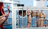 Electro Sluts 229334 Busty redheaded dominatrices get their pussies worshipped by slim dark haired beauty trapped in an electric cage!
