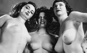 Vintage Classic Porn 233349 Some Fifties Pinups Showing Their Perfect Natural Bodies
