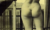 Vintage Classic Porn 233387 Hairy Vintage Voluptuous Ladies Posing In Sexy Stockings
