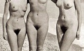 Vintage Classic Porn 233412 Hairy Sixties Teen Hippies Showing Their Natural Bodies
