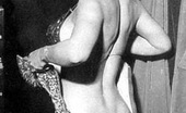 Vintage Classic Porn 233472 Topless Dancer Candy Barr Showing Her Fine Natural Body

