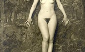 Vintage Classic Porn 233534 Very Artistic Vintage Nude Hairy Girls Posing Solo Pictures
