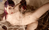 Gothic Sluts Natalie Addams 236244 Beautiful Naked Goth Girl Playing In Spiderwebs
