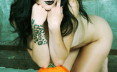 Gothic Sluts Jenny Trouble 236304 Classic Gothic Halloween Pin-Up Babe With Her Pumpkin
