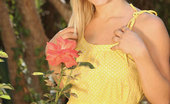 Nubiles Charlielynn 243040 Desirable Nubile Blonde Sexily Posing Outdoor And Almost Ready To Show Her Teen Hole
