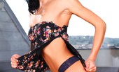 Doghouse Digital Martin Gun & Tarzan & Veronica Diamond & Leonelle Knoxville & Steve Q & Samantha 253289 