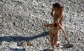 Beach Hunters Beach Erotica Spied 256113 Very Erotic And Hot Routine Voyeur Photos Made On A Beach For Nudists
