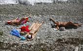 Beach Hunters Three Tanning Girls Three Wenches Sunbathe Nude Near The Sea And Under Voyeur Supervision
