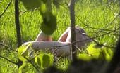Beach Hunters Voyeured Meadow Fun 256155 Voyeured Tanning Girl In A Meadow Gets Her Pussy And Asshole Played
