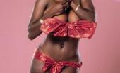 The Classic Porn Ebony Ayes
 269612 
