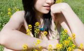 Showy Beauty Ultima Milky Girl Milkygirlie 272934 Enchanting Brunette Babe With A Perfect White Skin Enjoys Posing Naked On A Green Meadow.
