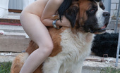 Showy Beauty Ultima Shaggy Friend Cutieposing 272965 Busty Brunette Flashes In The Street And Strips Totally Naked Showing Off Her Amenities.
