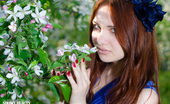 Showy Beauty Mulana Luce Viva Hotredheadcutie 273071 Beautiful Redhead Teen With Bow In Hair Posing Absolutely Naked Among The Flowering Trees.
