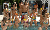 VIP Crew Gina 279506 Super Hot Poolparty Turns Crazy Here In These Pics
