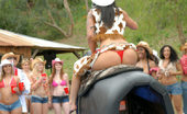 VIP Crew 279534 These Hot Cowgirls Are Ridin That Bull Almost As Good As They Ride The Cock In These Hot Pics
